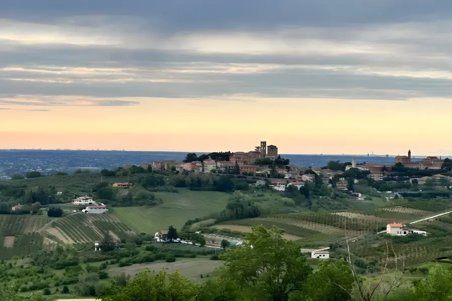 Realizzazione sito web a Longiano nel 2026